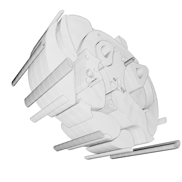 3d model of cross section human forearm - Human forearm (anatomical correct cross section)... by scyrus